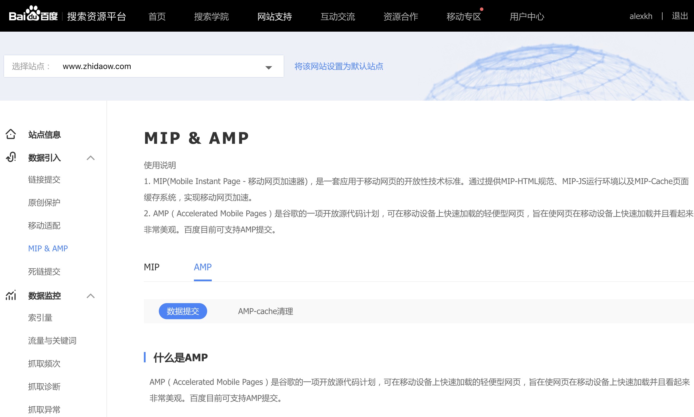 amp